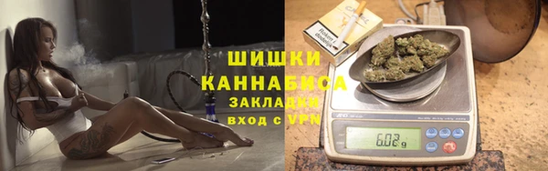 дживик Гусев