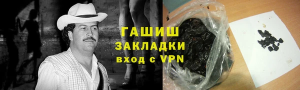 шишки Лабытнанги