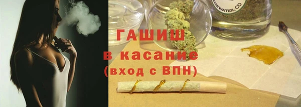 эйфоретик Гусь-Хрустальный