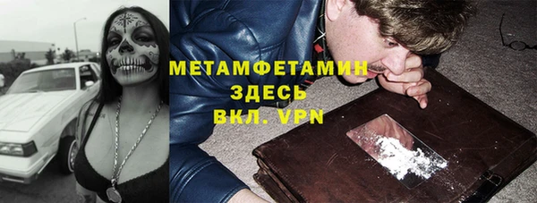 шишки Лабытнанги