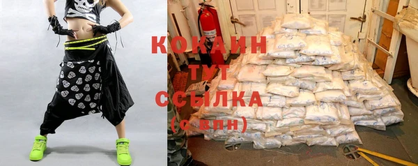дживик Гусев
