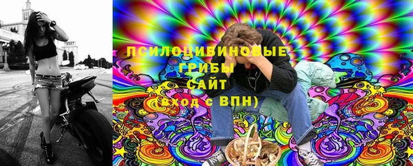 эйфоретик Гусь-Хрустальный