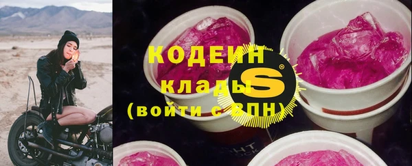спиды Лагань