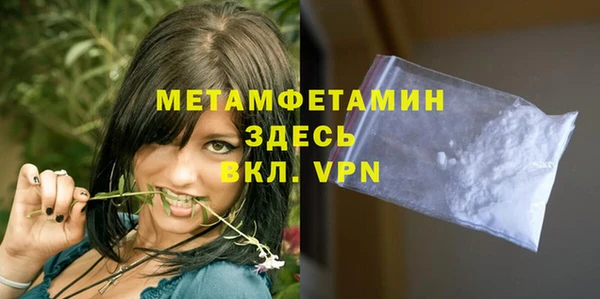 эйфоретик Гусь-Хрустальный