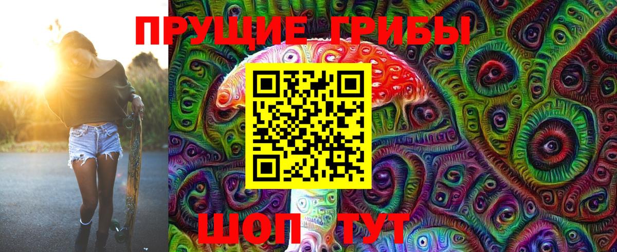 Галлюциногенные грибы GOLDEN TEACHER  Нурлат 