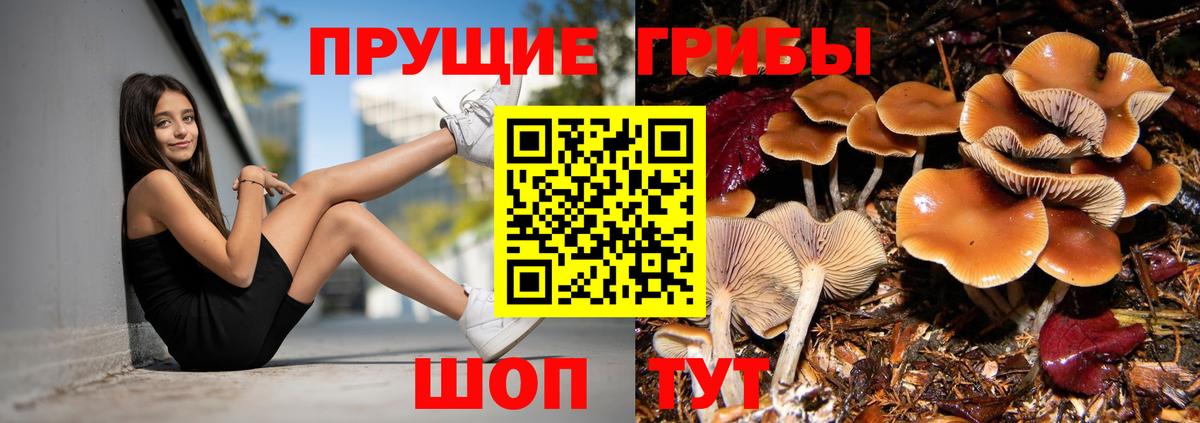 Галлюциногенные грибы мицелий Нурлат